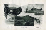 bea_del_003.jpg (186869 bytes)