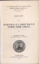 repo001.jpg (133501 bytes)